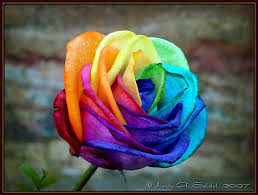 images