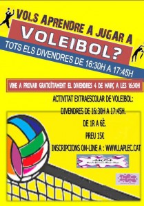 voleibol