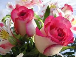 images (2)